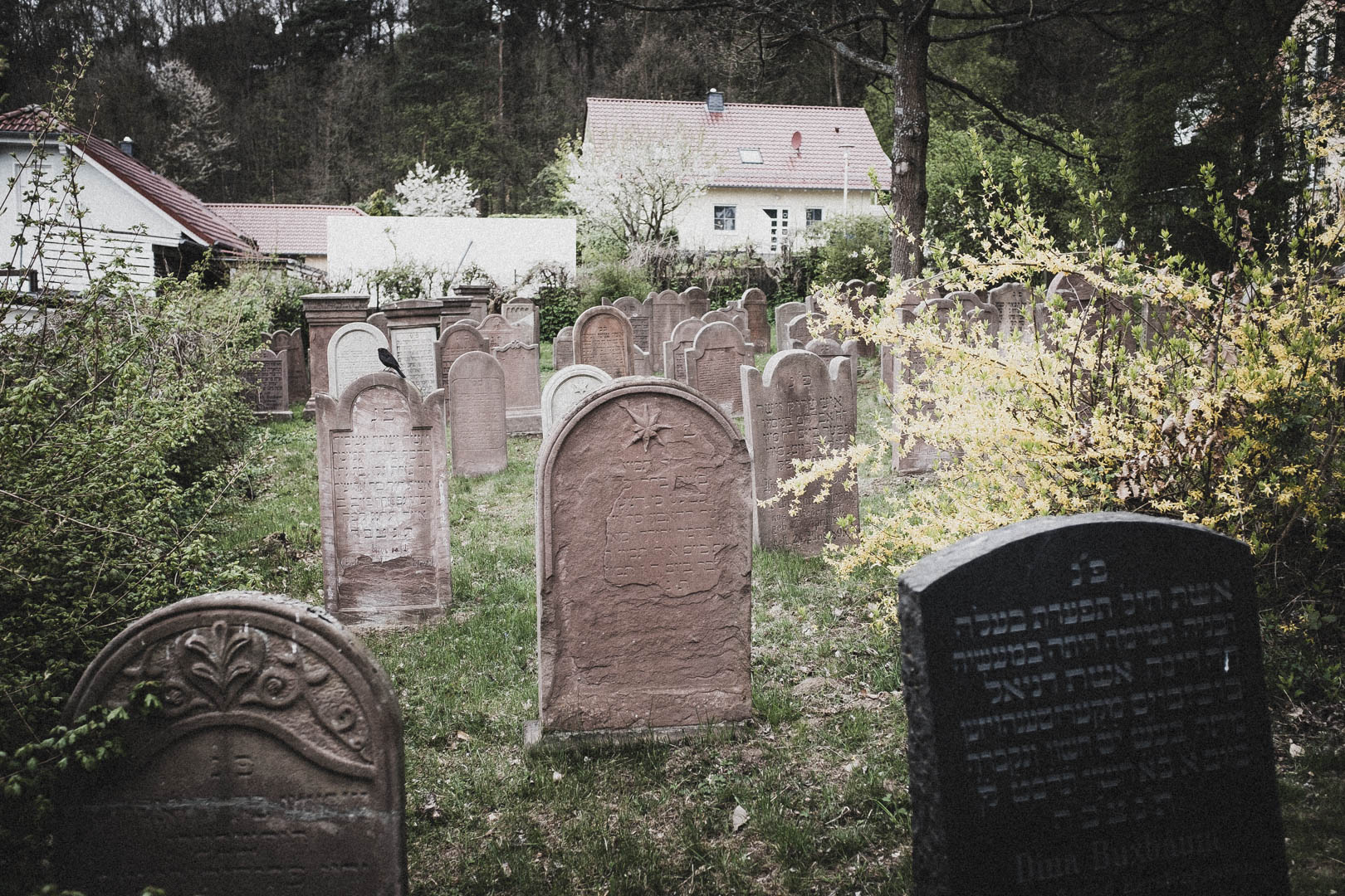 Bad Zwesten, Jüdischer Friedhof